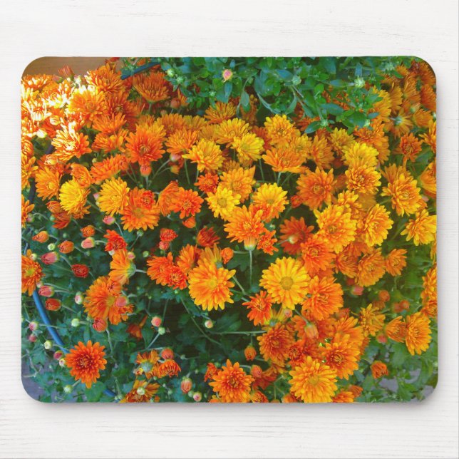 Orange Margarita Daisy Mousepad (Front)