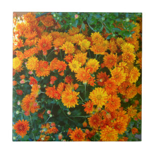 Orange Margarita Daisy Tile