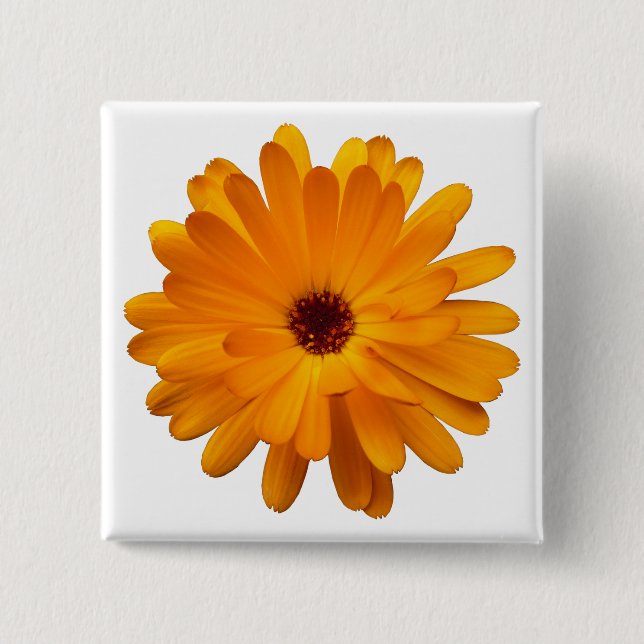 Orange Marigold 15 Cm Square Badge (Front)
