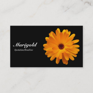 Orange Marigold- Black Business Card