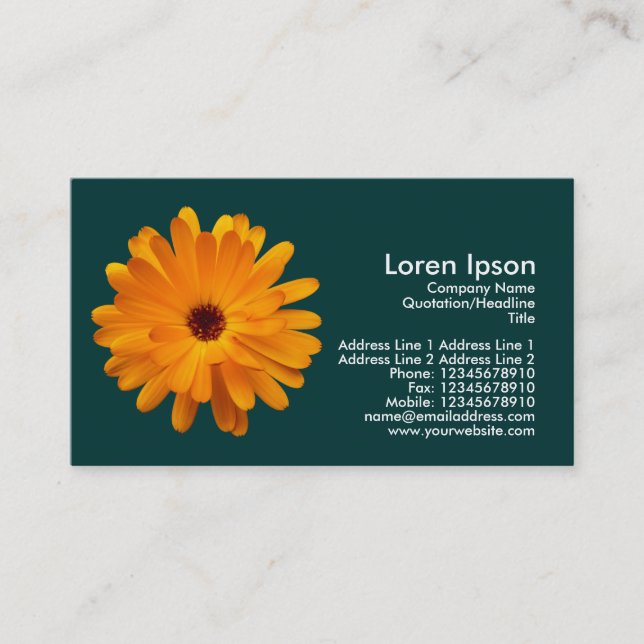 Orange Marigold - Dark Green (003333) Business Card (Front)