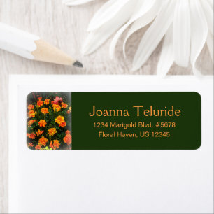 Orange Marigold Flowers Blooming In Summer Garden