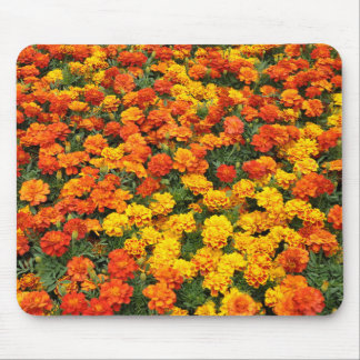 Orange marigold flowers mouse mat