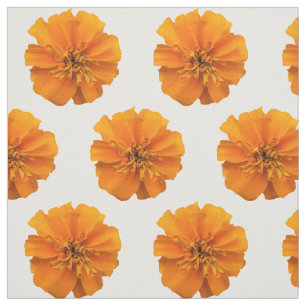 Orange Marigold Flowers on White Fabric