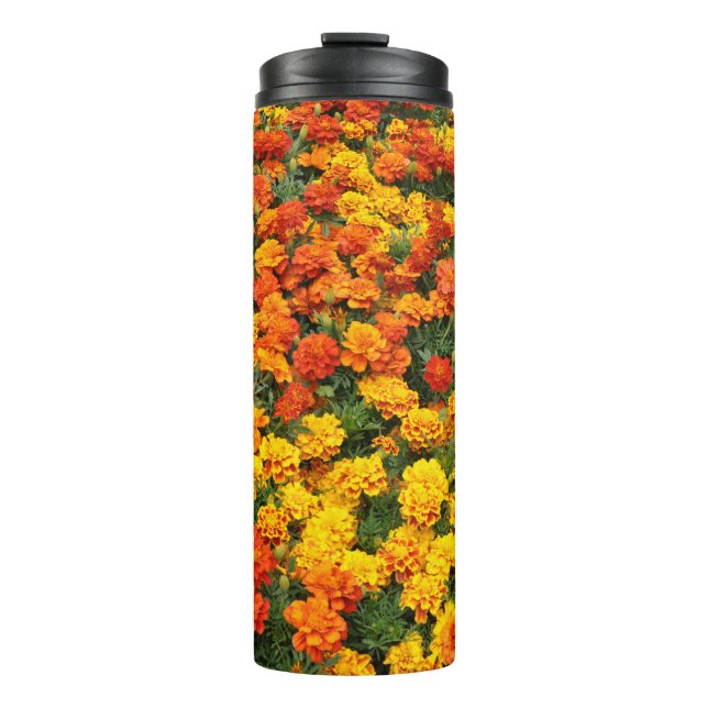Orange marigold flowers thermal tumbler (Front)