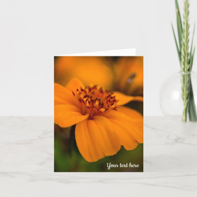 Orange Marigold Greeting card (Front)