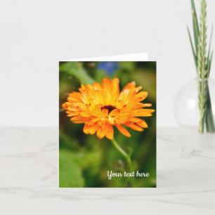 Orange Marigold Greeting card