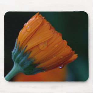 Orange marigold mouse mat