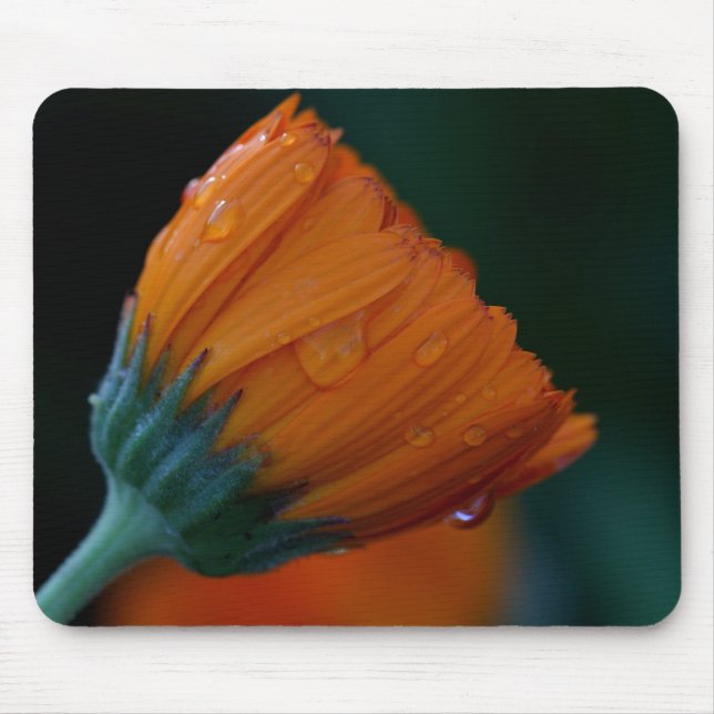 Orange marigold mouse mat (Front)