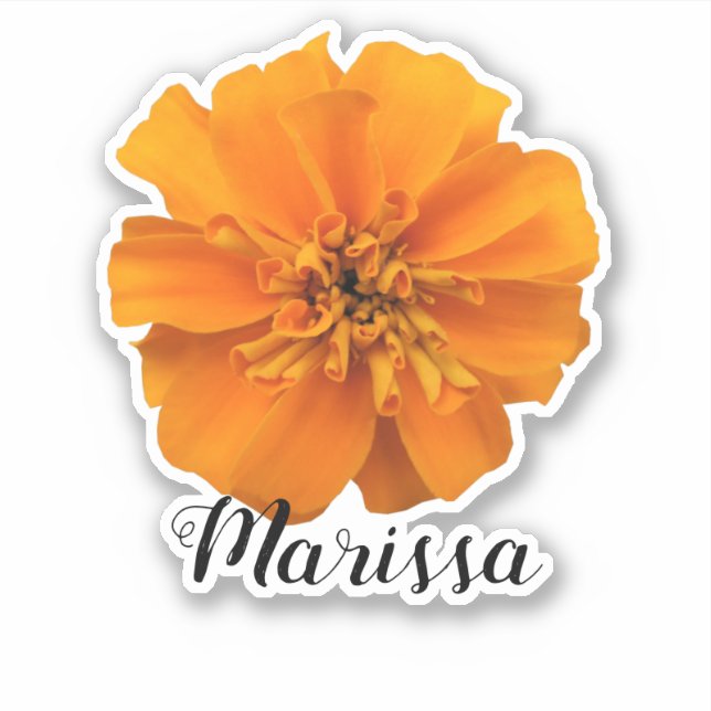 Orange Marigold Name (Front)