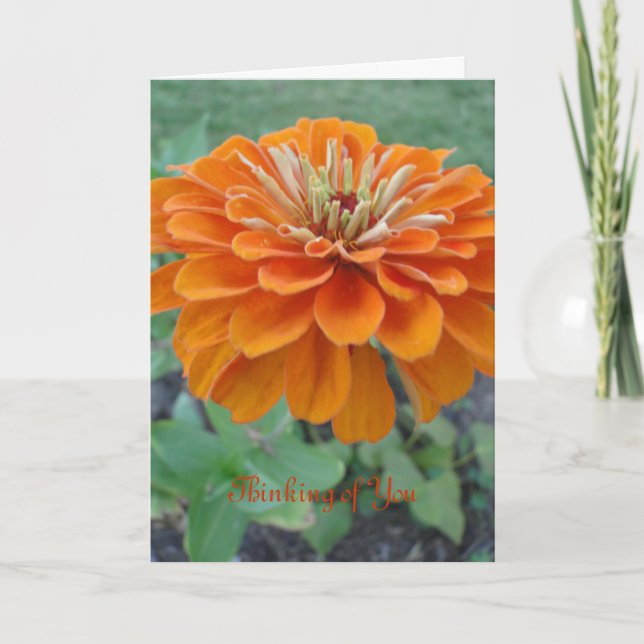 Orange Marigold/Thinking of You Card (Front)