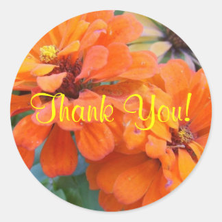 Orange Marigolds Classic Round Sticker