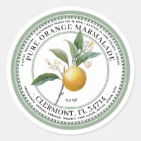 Orange Marmalade Vintage Illustration 1930s Green
