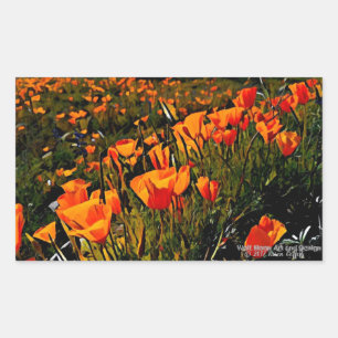 Orange Mexican Gold Poppies blooming in spring Rectangular Sticker