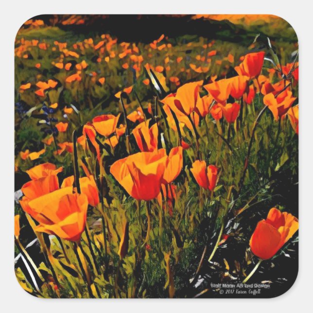 Orange Mexican Gold Poppies blooming in spring Square Sticker (Front)