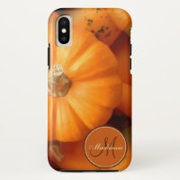 Orange Mini Pumpkins And Gourds Fall Photo