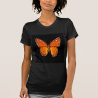ORANGE MONARCH BUTTERFLY ON BLACK COLOR
