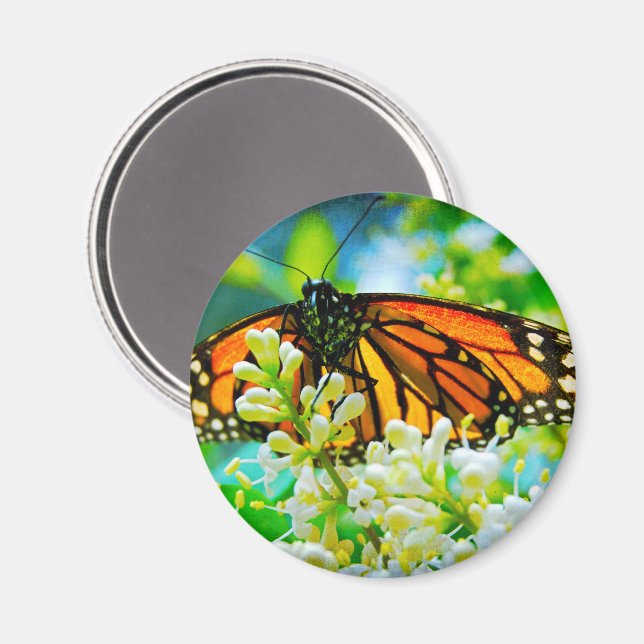 Orange monarch butterfly photo bold modern stylish magnet (Front/Back)