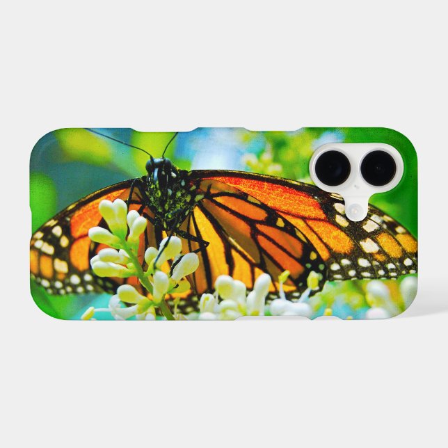 Orange monarch butterfly photo bold simple modern (Back (Horizontal))