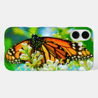 Orange monarch butterfly photo bold simple modern