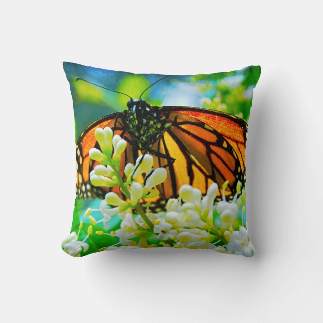 Orange Monarch Butterfly Photo Colourful Modern Cushion (Front)