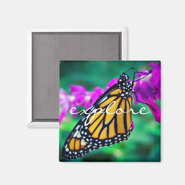 orange monarch butterfly photo explore script bold magnet (Front/Back)
