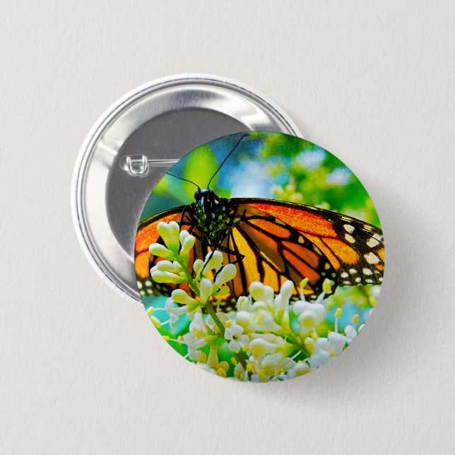 Orange monarch butterfly photo modern bold stylish 6 cm round badge (Front & Back)