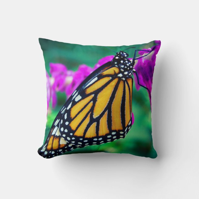 Orange monarch butterfly photo purple flower bold cushion (Front)