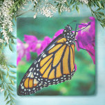 Orange monarch butterfly photo purple flower bold stone coaster<br><div class="desc">A close-up photo of a delicate, orange and black monarch butterfly resting on a bright magenta flower. Explore thoughts of warm, sunny days as you relax with your favourite beverage while using this stunning, colourful photography stone coaster. Makes a great gift for someone special! You can easily personalise this stone...</div>