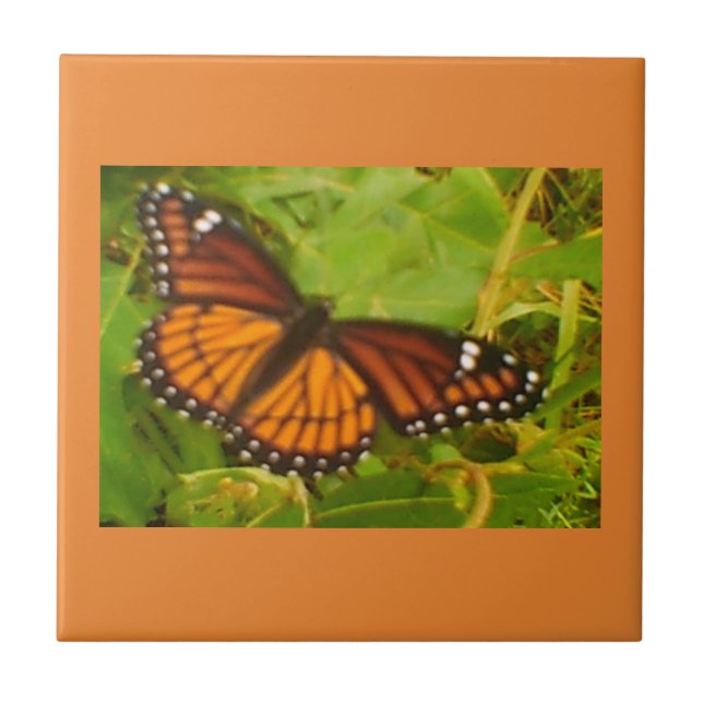 Orange Monarch Tile (Front)