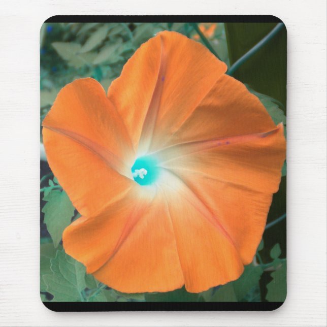 Orange Morning Glory Mouse Mat (Front)