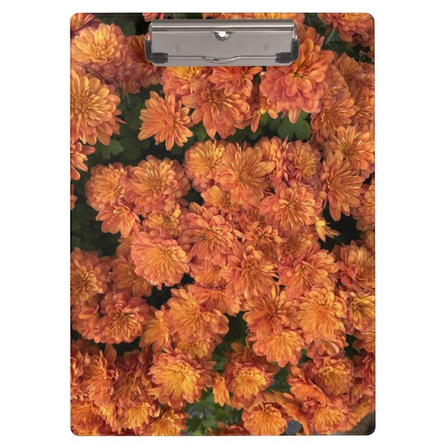 Orange Mums Clipboard (Front)