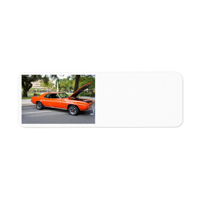 Orange Muscle (Front)