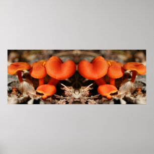 Orange Mushroom Family Mirror Abstract Poster