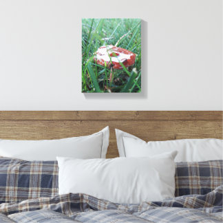 Orange Mushroom with rain on top Canvas Print