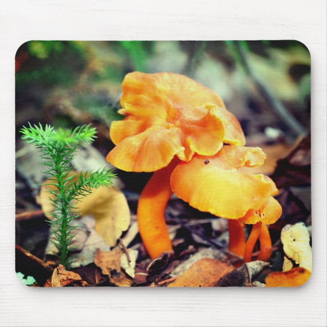 Orange Mushrooms Nature  Mouse Mat (Front)