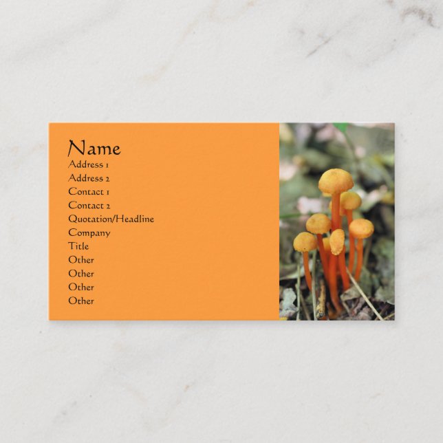 Orange Mushrooms Nature Photography Business Card (Front)