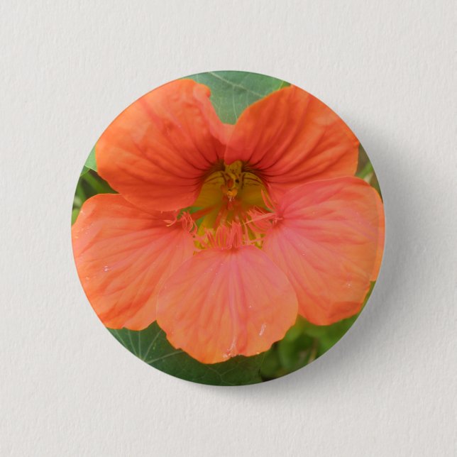 Orange Nasturtium Flower Button (Front)