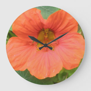 Orange Nasturtium Flower Wall Clock