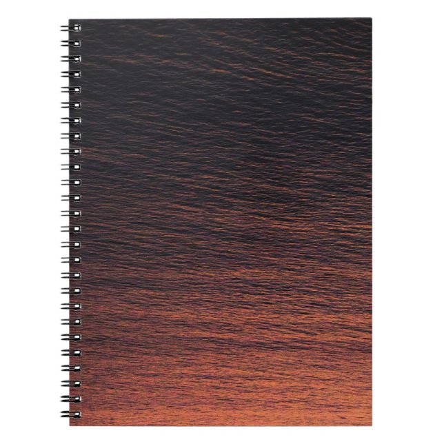 Orange Notebook (Front)