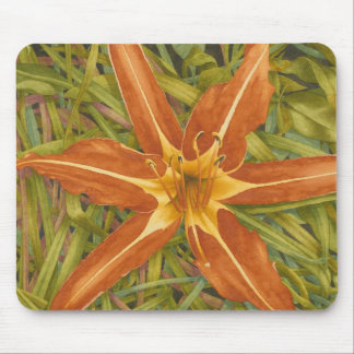 Orange Nova mousepad