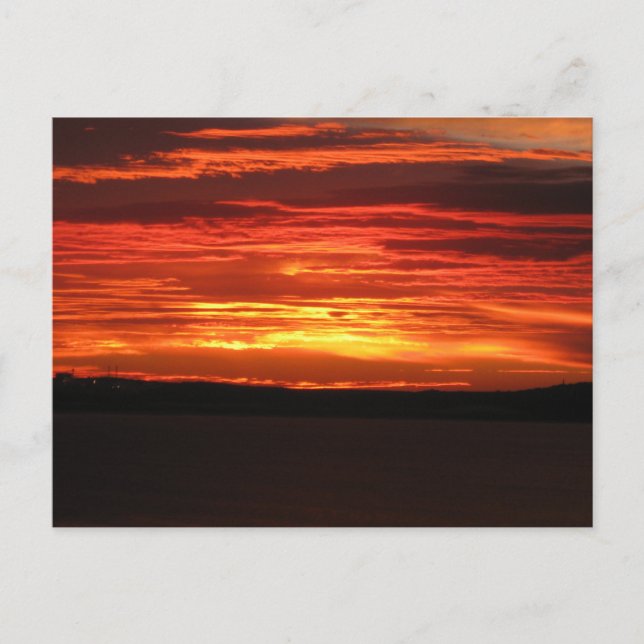 Orange Ocean Sunset Photography  Postcard (Front)