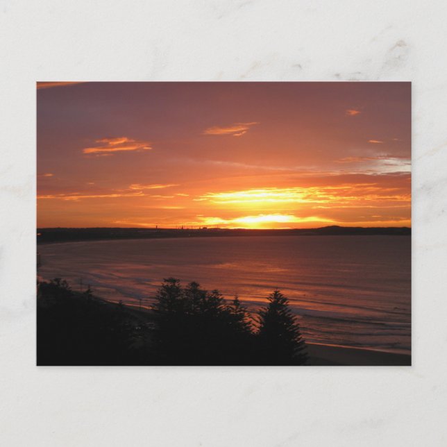 Orange Ocean Sunset Photography  Postcard (Front)