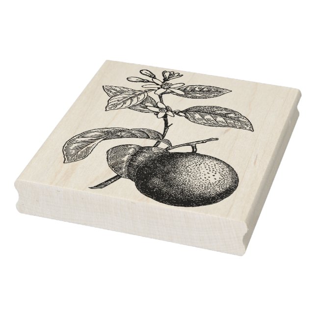 Orange on Branch with Blossoms Rubber Stamp (Stamp)