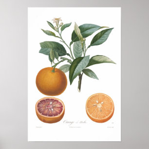 Orange,Orange de Malte Poster