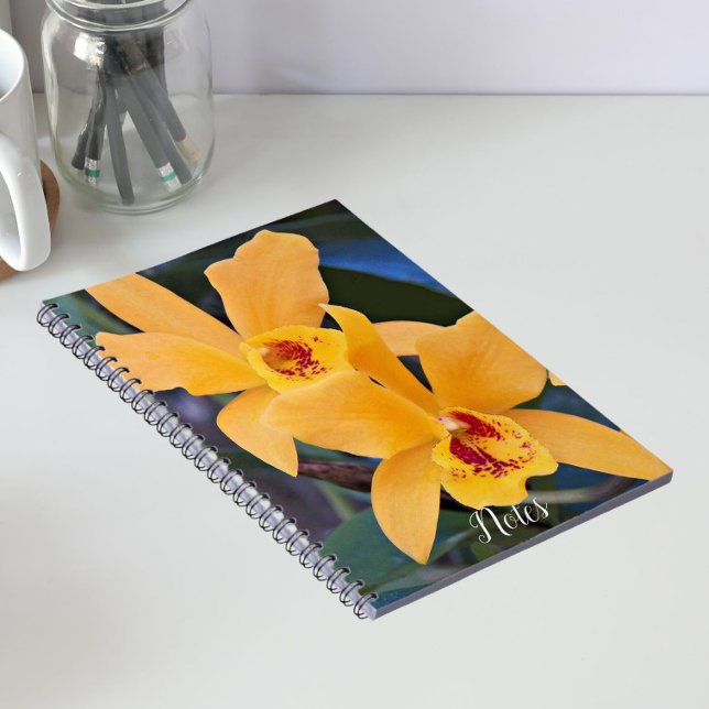 Orange Orchid Blooms Floral Notebook (In Situ)