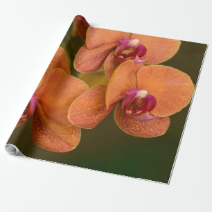 Orange orchid flower wrapping paper