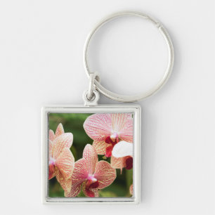 Orange Orchid Hybrid, South Africa Key Ring