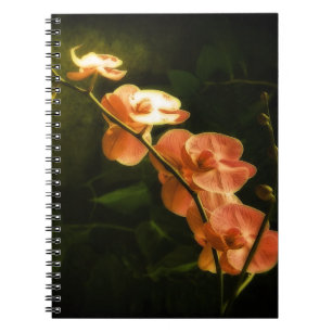 Orange Orchid Notebook