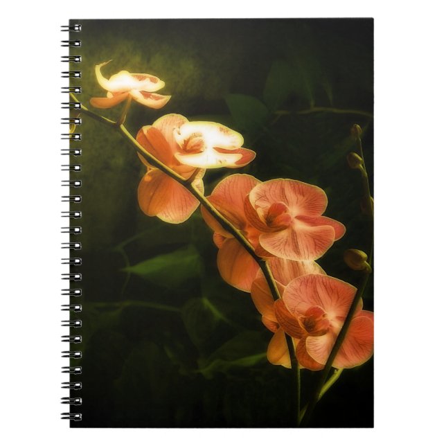 Orange Orchid Notebook (Front)